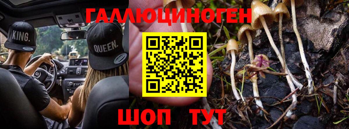 Псилоцибиновые грибы Psilocybine cubensis  Псилоцибиновые грибы Magic Shrooms  Златоуст  Вход с VPN 